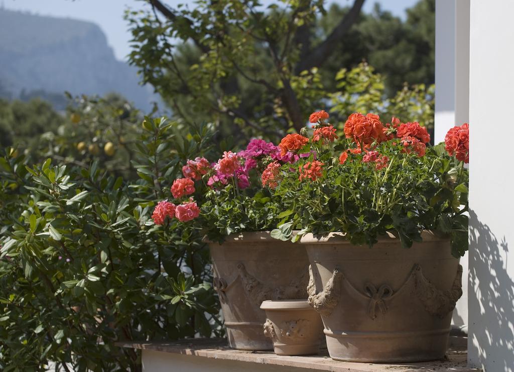 Hotel Villa Brunella Capri Exterior photo